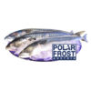 Makrelen ausgenommen, blockgefroren,  400-600 g, 1 x 20 kg