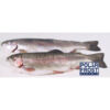 Forellen, ganz, ausgenommen, 240-260 g, 1 x 5 kg